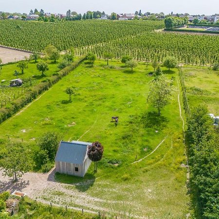 Unique Hideaway, Holiday House With Large Garden Kortenaken Екстериор снимка